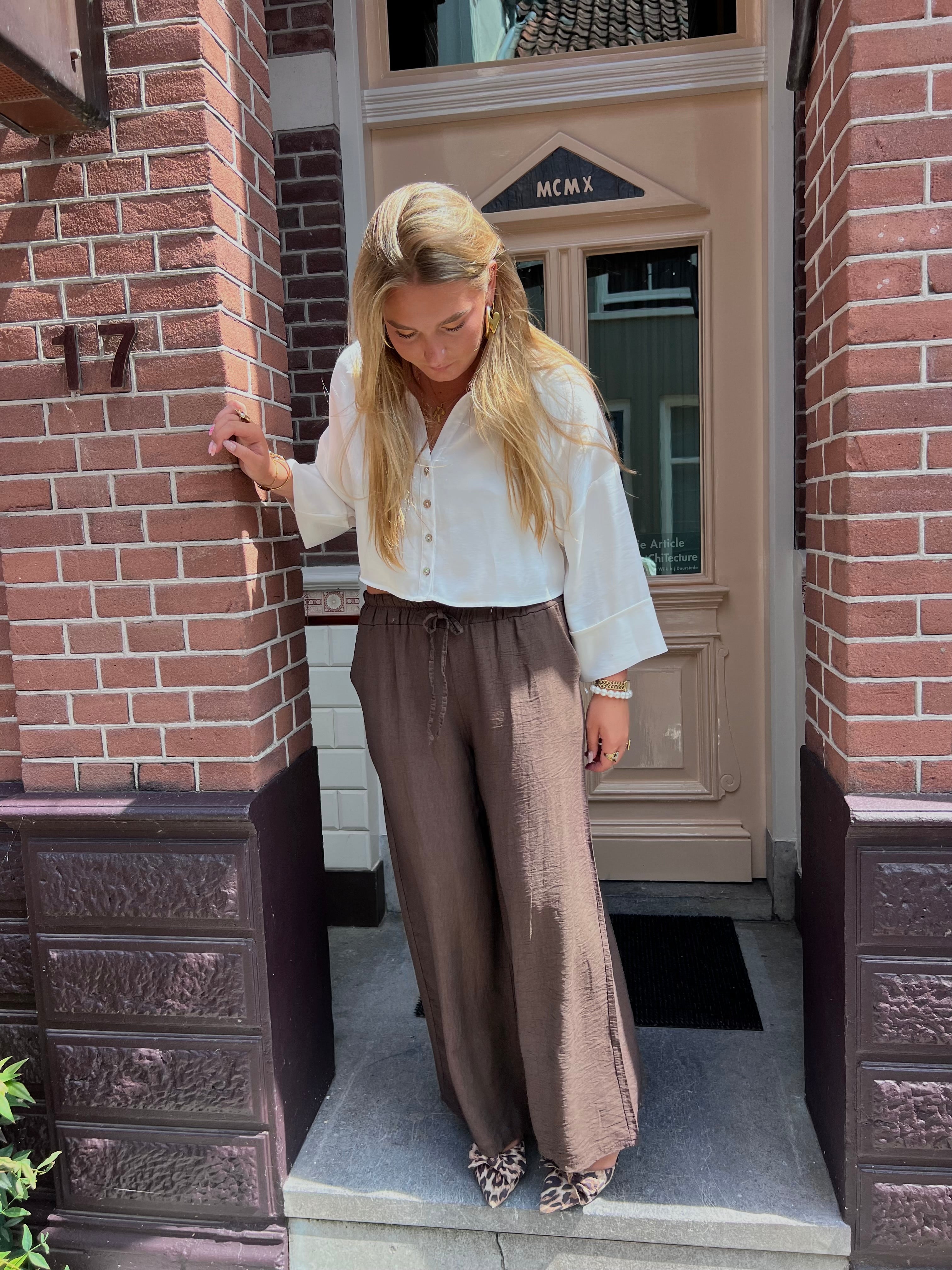 Nola linnen pants - bruin